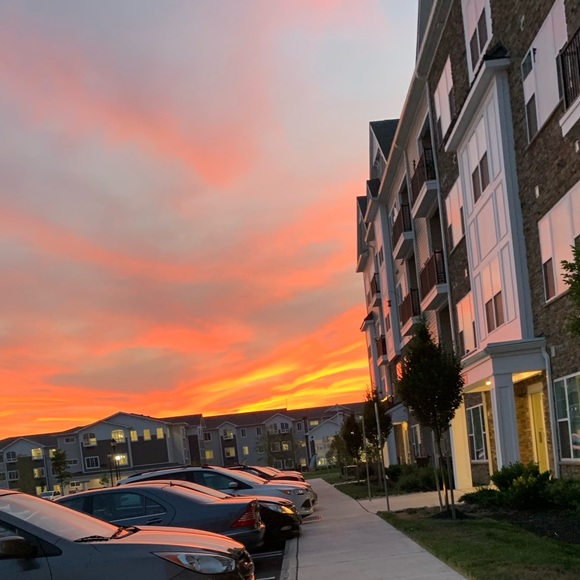 Meet your Posher, Marissa - Picture 1 of 1